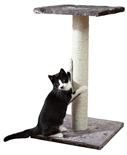 Bricok Albero per Gatto con Graffiatoio Cuccia Giocattolo Gatti Parco Giochi Tiragraffi in Sisal Naturale 69 x 40 x 40 cm, (MIRO)