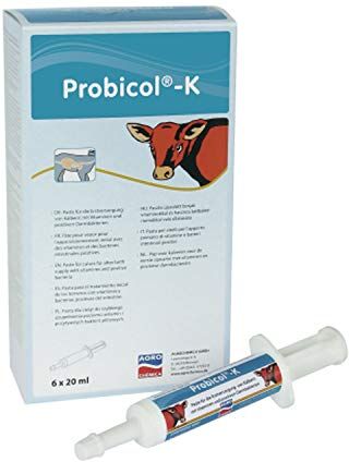 Kerbl Probicol-K Paste 6x20ml