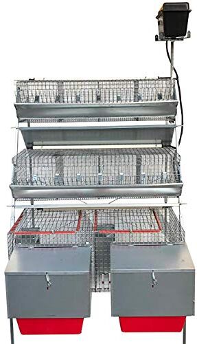 Montidistribuzione Gabbia Conigli GM1 Plus Conigliera a 3 Piani Mista 2 Fattrici + 8 Celle Ingrasso. Cm L 105 x P 106 x H 160