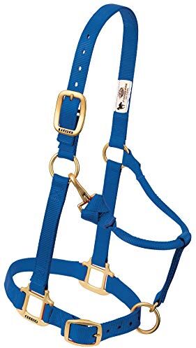 Weaver Leather Cavezza da Cavallo in Nylon Regolabile, Originale, Colore Blu