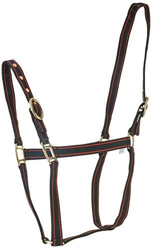 Rhinegold Collarino Nylon-Pony-Nero/Rosso, Collare 0 IT