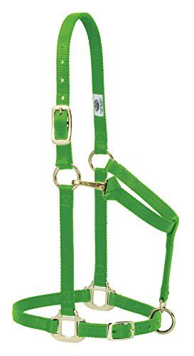 Weaver Leather Original Adjustable 3/10,2 cm Suckling Chin And Throat Snap Halter, , Lime Zest, Weanling