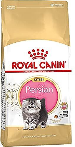 ROYAL CANIN Persian Kitten dry food for Persian kittens and pregnant and lactating cats 10 kg