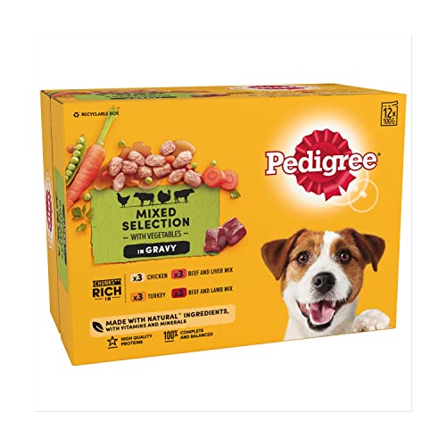 Pedigree Dog custodie in vera pasti al sugo, 12 x 100 g