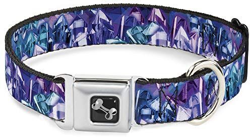 Buckle-Down Fibbia Verso Il Basso collari per Animali Domestici, Acciaio Legato di Poliestere, Multicolore, 1" Wide Fits 11-17" Neck Medium