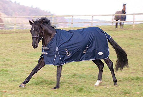 Rhinegold Torrent Coperta per cavallo da esterni, leggera, senza imbottitura