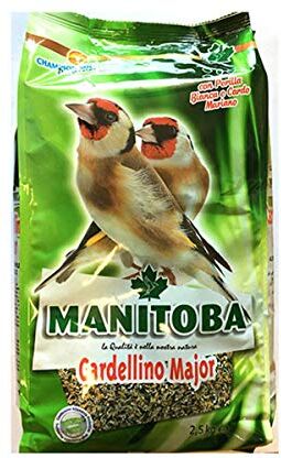 manitoba Cardellino Major 2,5 kg Mangime Completo per Cardellini