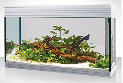 Askoll acquario KIT L PURE WHITE