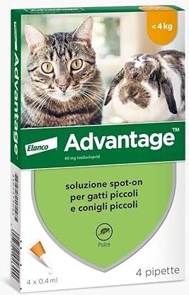 Bayer Advantage ANTIPULCI per Gatti sotto I 4 kg ANTIPARASSITARIO FIALETTE