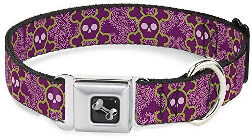 Buckle-Down Buckle Down dc-w32906-l Cintura di Sicurezza Collare di Cane, Grande, Cute Skulls W/Paisley Viola/Rosa/Verde