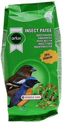 Nobby Versele Laga Patè per insettivori Orlux Insect 200gr