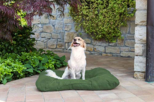 Sogni e Capricci Pets 2 Cuscinetti Smarty, Verde Scuro, 77 x 60 cm