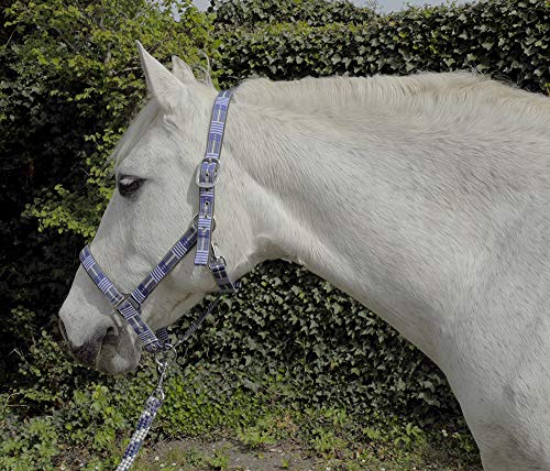 Rhinegold Carnival Headcollar & Rope, Carnevale Collare e Corda Unisex-Adulto, A Quadretti Blu, Pony