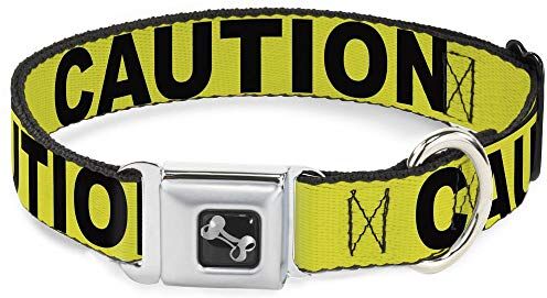 Buckle-Down Collare per Cani da 33 a 45,7 cm, Giallo e Nero, Largo e Piccolo