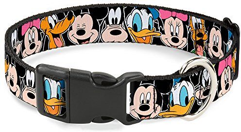 Buckle-Down Buckle Down Disney character Faces, 700146023887, Collare Clip, M Fits 11-17" 1.0" Wide, Nero (Black)