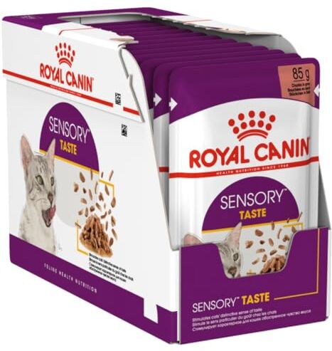 ROYAL CANIN Sensory Taste Wet cat food Chunks in sauce 12x85 g