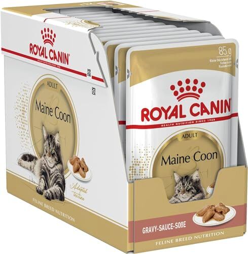 ROYAL CANIN Cibo Umido per Gatti Maine Coon Confezione da 12 x 85 grammi