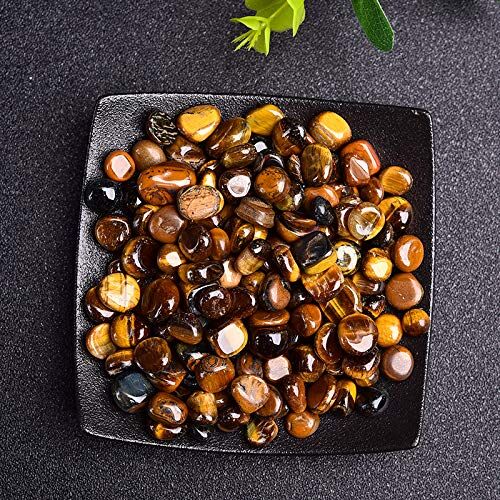 LABDIP decorazione della stanza 50/100g Pietre Naturali Ghiaia Cristalli Chip Quarzo Tumbled Agate Campione Pietre Preziose Casa Acquario Decor, Conchiglia, 100g (Color : Tiger Eye, Size : 100g)