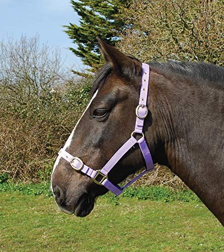 Rhinegold Headcollar Nylon-COB-Lilla, Collare 0 IT