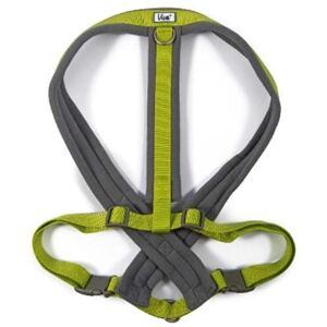 Imbracatura imbottita Ancol Viva Lime XL - Imbracatura per animali Imbracatura imbottita Ancol Viva Lime XL - Imbracatura per animali