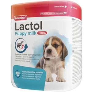 Beaphar Leche Lactol 500 g (Polvo)*DX* Beaphar Leche Lactol 500 g (Polvo)*DX*