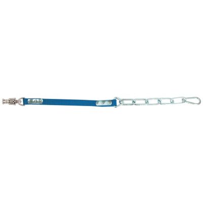 PFIFF , Cavezza da Cavallo, con Catena, per camioncino da Trasporto, Blu (Bleu) PFIFF , Cavezza da Cavallo, con Catena, per camioncino da Trasporto, Blu (Bleu)