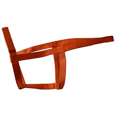 Rhinegold William Hunter Equestrian Field Safe Cavezza per Cavalli, Colore: Mandarino Rhinegold William Hunter Equestrian Field Safe Cavezza per Cavalli, Colore: Mandarino