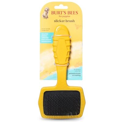 BURT'S BEES FOR PETS Burt's Bees Spazzola per animali domestici piccola per cani con capelli spessi o ricci con manico in 100% plastica riciclata rilegata con oceano Spazzola per cani che elimina nodi e stuoia leggera BURT'S BEES FOR PETS Burt's Bees Spazzola per animali domestici piccola per cani con capelli spessi o ricci con manico in 100% plastica riciclata rilegata con oceano Spazzola per cani che elimina nodi e stuoia leggera