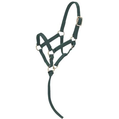 Tough 1 Miniature Nylon Halter, Hunter Green, Grande Tough 1 Miniature Nylon Halter, Hunter Green, Grande