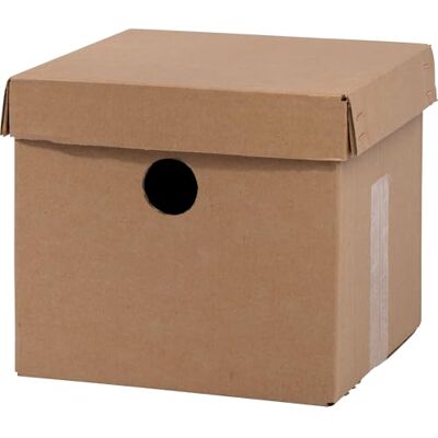 dobar Luxus-Insektenhotels 28275e Set di ricambio per cassette per bumble, accessori per scatola Hummelist 28275e, carta, trucioli di legno e lana di jersey dobar Luxus-Insektenhotels 28275e Set di ricambio per cassette per bumble, accessori per scatola Hummelist 28275e, carta, trucioli di legno e lana di jersey
