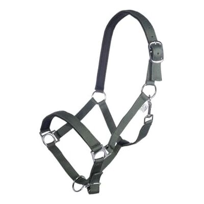 HKM Stars- morbida imbottitura Capezza Verde Pony HKM Stars- morbida imbottitura Capezza Verde Pony