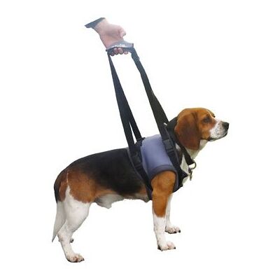 Handy Canis Imbracatura Zampette anteriori XL Handy Canis Imbracatura Zampette anteriori XL