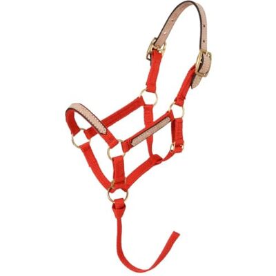 Tough 1 Cavezza in Nylon Resistente in Miniatura, , Rosso, L Tough 1 Cavezza in Nylon Resistente in Miniatura, , Rosso, L