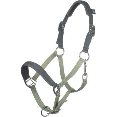 HKM Barnie Collare per la testa Verde Brillante/Verde Scuro Shetland pony HKM Barnie Collare per la testa Verde Brillante/Verde Scuro Shetland pony