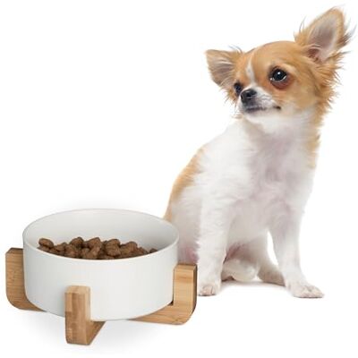 Relaxdays Ciotola Rialzata per Cani, Alzatina in bambù con Scodella in Ceramica Cibo o Acqua, 850 ml, 9x20x20 cm Bianco Relaxdays Ciotola Rialzata per Cani, Alzatina in bambù con Scodella in Ceramica Cibo o Acqua, 850 ml, 9x20x20 cm Bianco