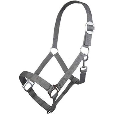 HKM Posten 5203 Cavezza Economy, colore: Turchese pony HKM Posten 5203 Cavezza Economy, colore: Turchese pony