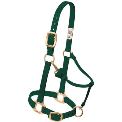 Weaver Leather Verde Hunter Collare in nylon per cavalli - Attrezzature per cavalli Weaver Leather Verde Hunter Collare in nylon per cavalli - Attrezzature per cavalli