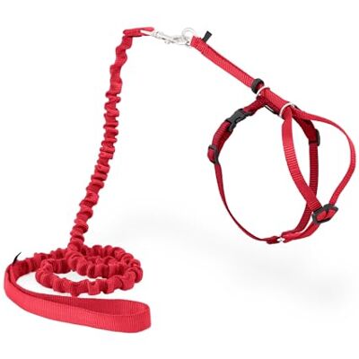PetSafe , Come with Me Kitty, Pettorina e guinzaglio Elastico per Gatti PetSafe , Come with Me Kitty, Pettorina e guinzaglio Elastico per Gatti