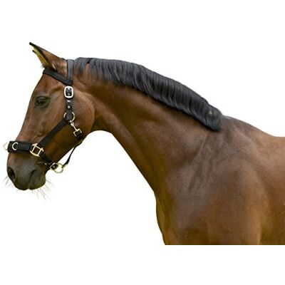 Covalliero Fondina Kerbl plastica, Nera., Unisex, Longierhalfter Kunststoff Schwarz, WB, Nero Covalliero Fondina Kerbl plastica, Nera., Unisex, Longierhalfter Kunststoff Schwarz, WB, Nero