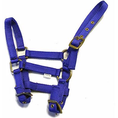 Rhinegold Collare in Nylon Puledro Blu Reale Rhinegold Collare in Nylon Puledro Blu Reale