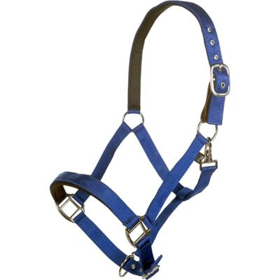HKM Breakaway 2 Fondina Blu reale Pony HKM Breakaway 2 Fondina Blu reale Pony