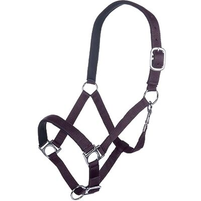 HKM Cavezza- Cavezza viola intenso sangue caldo HKM Cavezza- Cavezza viola intenso sangue caldo