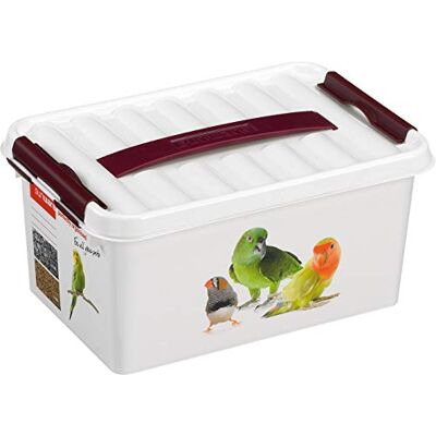 SUNWARE perfectly organised Sunware Q-line Porta Crocchette Cane 6L – 40x30x18cm – Contenitore Cibo Gatti e Piccoli Animali – Compatto con Coperchio SUNWARE perfectly organised Sunware Q-line Porta Crocchette Cane 6L – 40x30x18cm – Contenitore Cibo Gatti e Piccoli Animali – Compatto con Coperchio