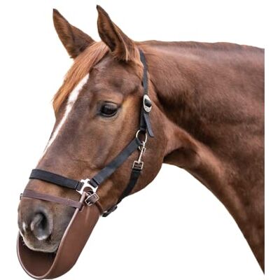 Waldhausen blanket chew break Waldhausen blanket chew break