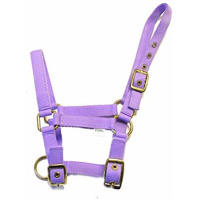 Rhinegold Collare in Nylon Puledro Lilla Rhinegold Collare in Nylon Puledro Lilla