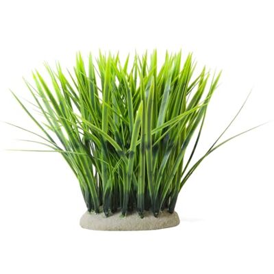 Nobby Aqua Ornaments VALLISNERIA 11,5 x 7 x 20 cm Nobby Aqua Ornaments VALLISNERIA 11,5 x 7 x 20 cm