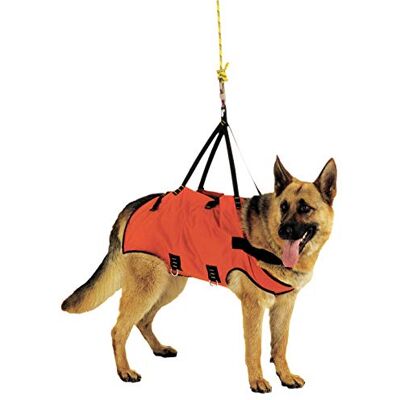 Kong . Taxi. Imbracatura di Emergenza per Cani. Materiali Resistenti e Leggeri. Design Ergonomico, Trasporto Confortevole. Borsetta Inclusa. Made in Italy. S Kong . Taxi. Imbracatura di Emergenza per Cani. Materiali Resistenti e Leggeri. Design Ergonomico, Trasporto Confortevole. Borsetta Inclusa. Made in Italy. S