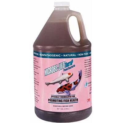 AQUAFORTE Microbe Ascensore P Thera 4 L AQUAFORTE Microbe Ascensore P Thera 4 L