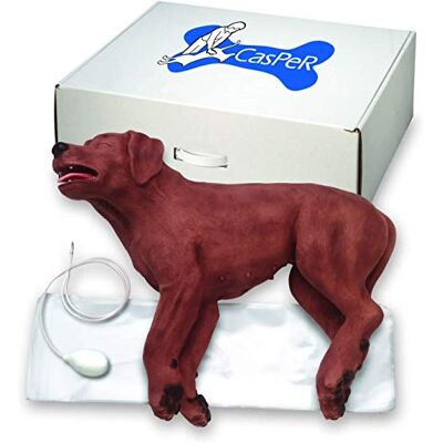Simulaids Manichino BLS Cane Casper the CPR Dog Primo Soccorso Veterinario Simulaids Manichino BLS Cane Casper the CPR Dog Primo Soccorso Veterinario