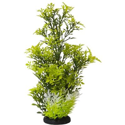 Nobby Aqua Ornaments ROTALA 7 x 7 x 27 cm Nobby Aqua Ornaments ROTALA 7 x 7 x 27 cm